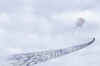 flying_mouse.jpg (17587 bytes)