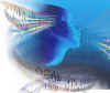 music2.jpg (22671 bytes)